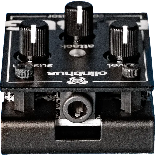 PILLBUG商品画像 上部